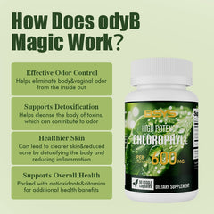 BSYS Chlorophyll Capsules Fat Metabolism Support Aid Blood Purification & Detox Boost Digestive Health & Constipation Relief Helper Immune System Enhancement Daily Detox & Wellness Supplemen
