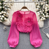 Women's Elegant Floral Applique Pullover Round Neck Long Sleeve Semi-Sheer Top Spring Summer Fashion Shirt