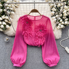 Women's Elegant Floral Applique Pullover Round Neck Long Sleeve Semi-Sheer Top Spring Summer Fashion Shirt