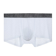 Men's Lace One-piece Seamless Thin Breathable Sweat-absorbent Sexy Transparent Boxer Briefs