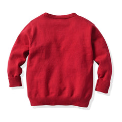 Boys College Pullover