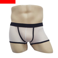 Men's Mesh Transparent Boxers Low Waist