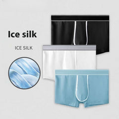 Men's Ice Silk Antibacterial Ultra Thin Sexy Transparent Boys Sports Underwear