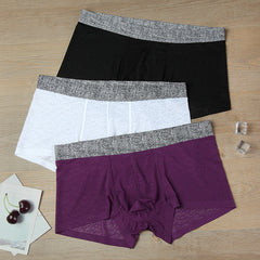 Men's Lace One-piece Seamless Thin Breathable Sweat-absorbent Sexy Transparent Boxer Briefs