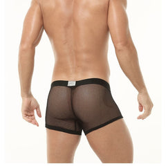 Ice Silk High Elastic Mesh Underwear Thin Cotton Crotch Boxers