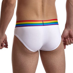 Rainbow Briefs Low Waist Sexy Pure Color Cotton Breathable And Transparent Men