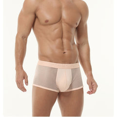 Ice Silk High Elastic Mesh Underwear Thin Cotton Crotch Boxers