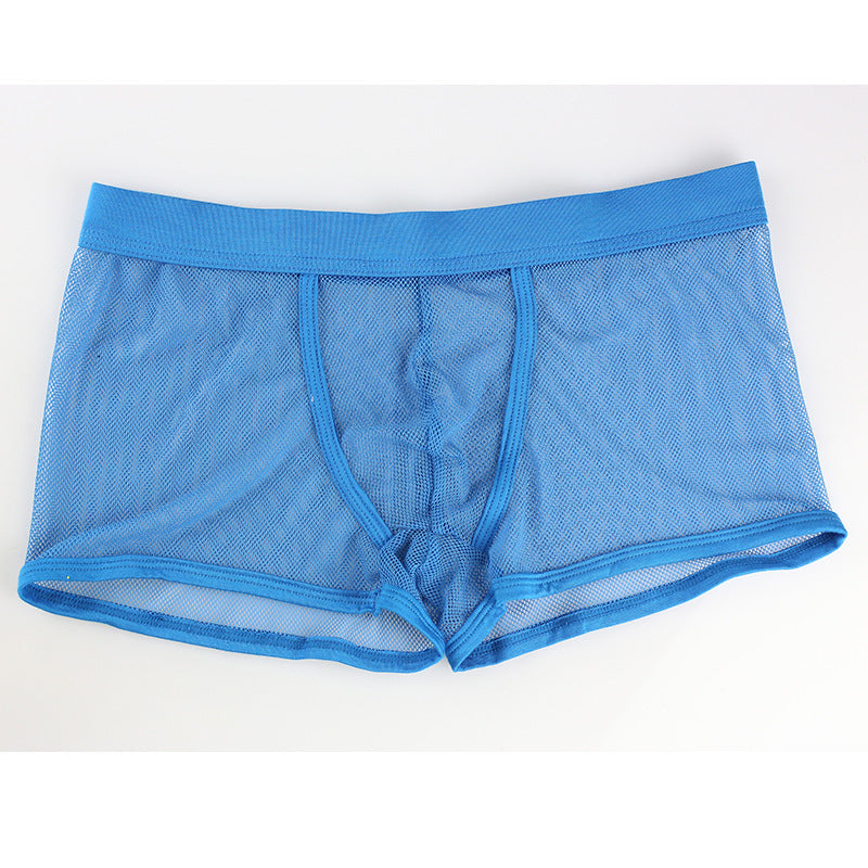 Men's Mesh Transparent Boxers Low Waist