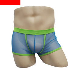 Men's Mesh Transparent Boxers Low Waist