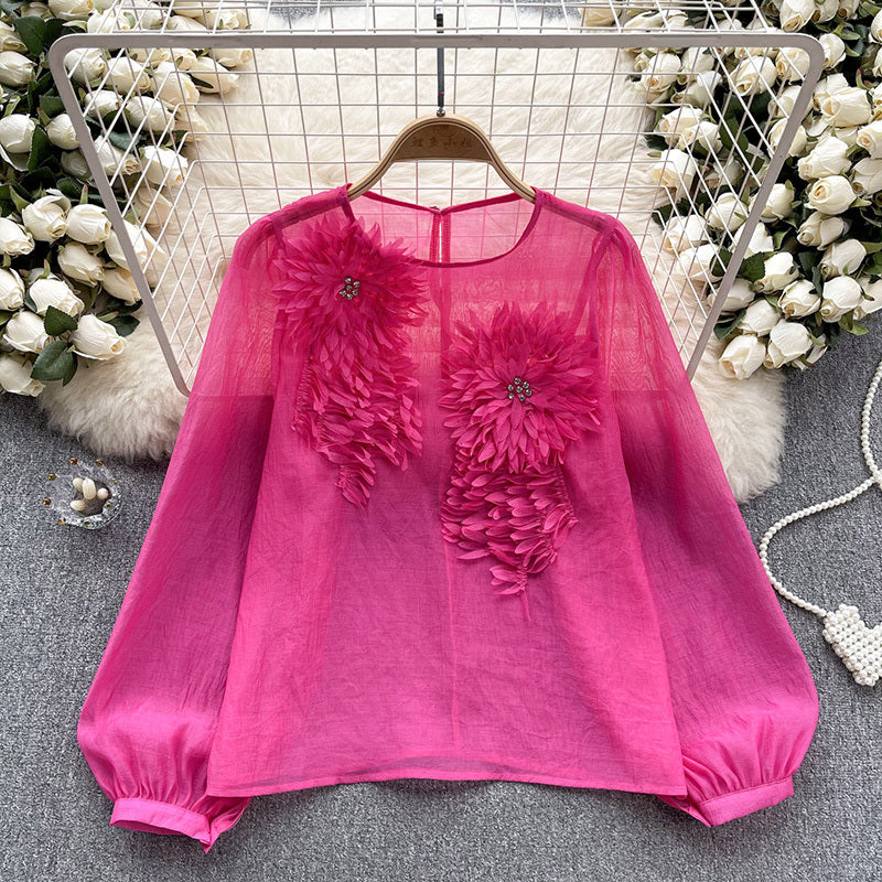 Women's Elegant Floral Applique Pullover Round Neck Long Sleeve Semi-Sheer Top Spring Summer Fashion Shirt