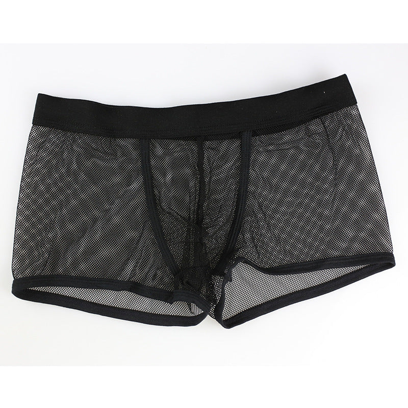 Men's Mesh Transparent Boxers Low Waist