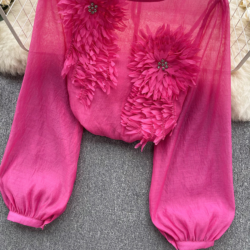 Women's Elegant Floral Applique Pullover Round Neck Long Sleeve Semi-Sheer Top Spring Summer Fashion Shirt