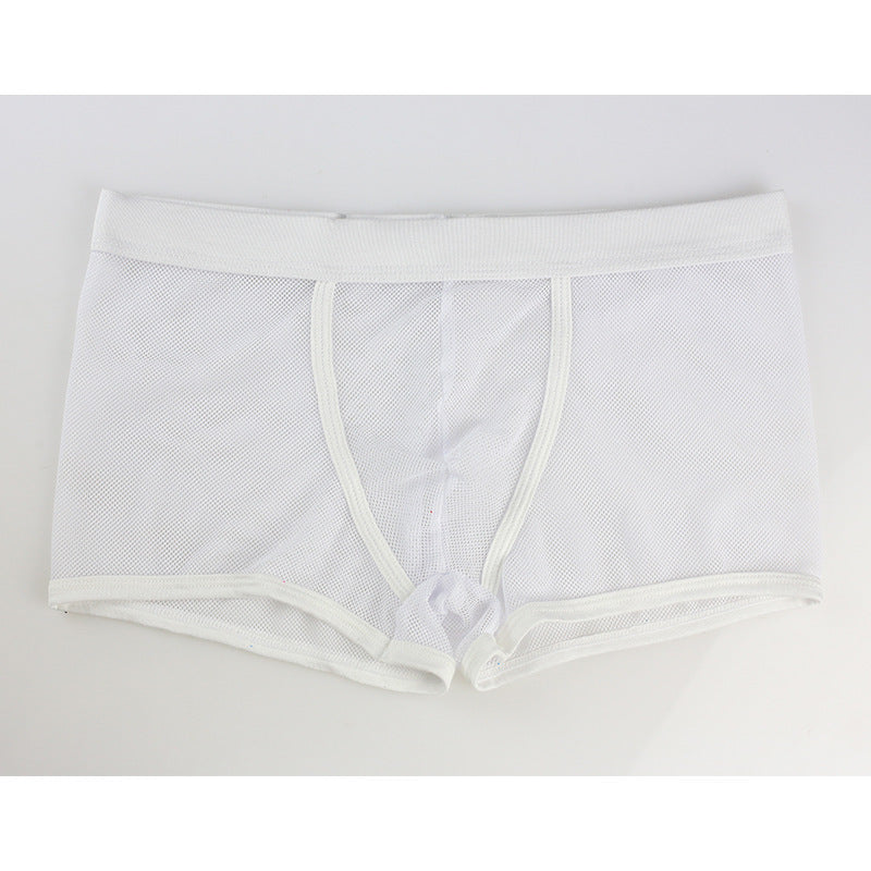 Men's Mesh Transparent Boxers Low Waist