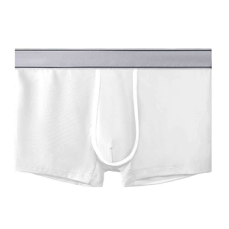 Men's Ice Silk Antibacterial Ultra Thin Sexy Transparent Boys Sports Underwear