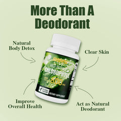 BSYS Chlorophyll Capsules  Fat Metabolism Support Aid Blood Purification & Detox Boost  Digestive Health & Constipation Relief Helper  Immune System Enhancement  Daily Detox & Wellness Supplemen